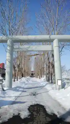 遠別神社の鳥居