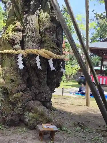 蠶養國神社(福島県)
