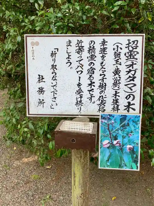 息栖神社(茨城県)