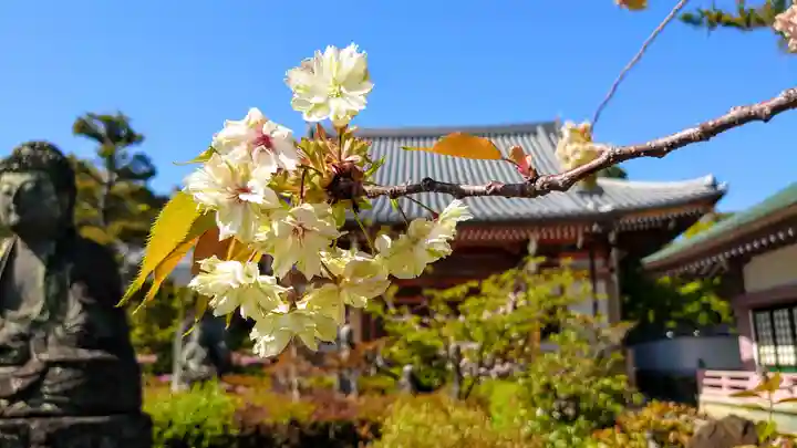 蓮華寺(京都府)