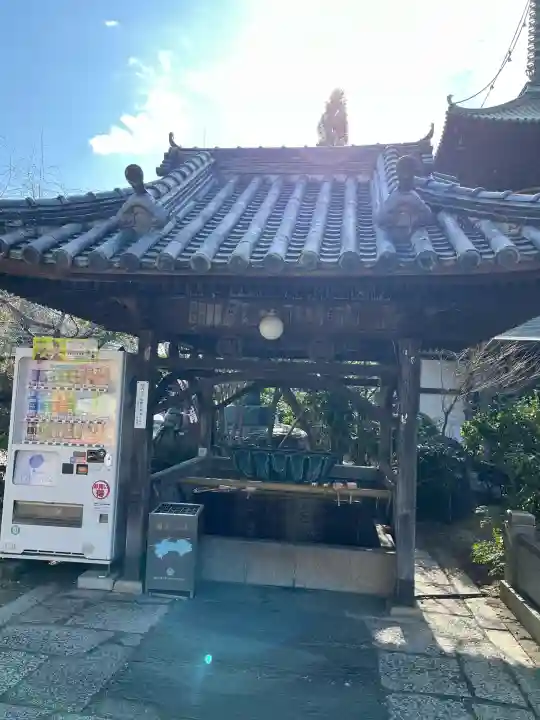 立江寺の{uncategorized: "未分類", other: "その他", undefined: "問題あり", building: "その他建物", grave: "お墓", sacred_gate: "鳥居", guardian: "狛犬", statue: "像", buddha: "仏像", history: "歴史", nature: "自然", garden: "庭園", animal: "動物", pagoda: "塔", temizu: "手水舎", mountain_gate: "山門・神門", sanctuary: "本殿・本堂", subordinate: "末社・摂社", art: "芸術", scenery: "景色", jizo: "地蔵", ema: "絵馬", goshuin: "御朱印", omikuji: "おみくじ", items: "授与品その他", amulet: "お守り", goshuincho: "御朱印帳", eats: "食事", festival: "お祭り", votive_dance: "神楽", shichigosan: "七五三参", wedding: "結婚式", experience: "体験その他", initially: "初詣", around: "周辺", anti_infection: "感染症対策"}