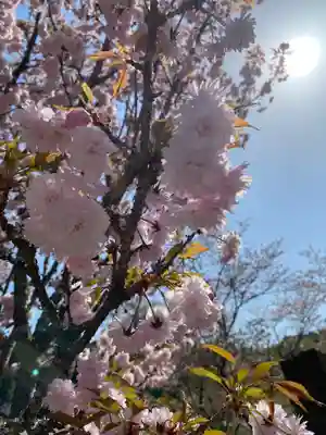 素戔嗚神社の自然