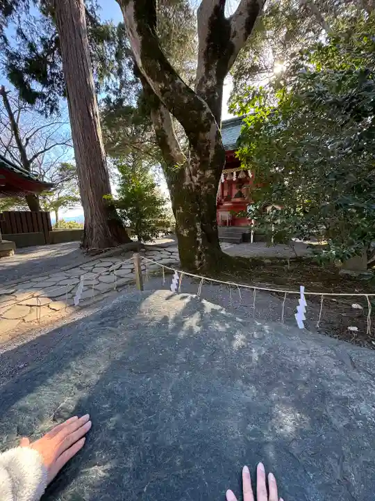 伊豆山神社(静岡県)