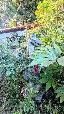 出世稲荷神社の狛犬