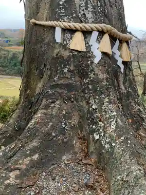 阿久津「田村神社」（郡山市阿久津町）旧社名：伊豆箱根三嶋三社(福島県)