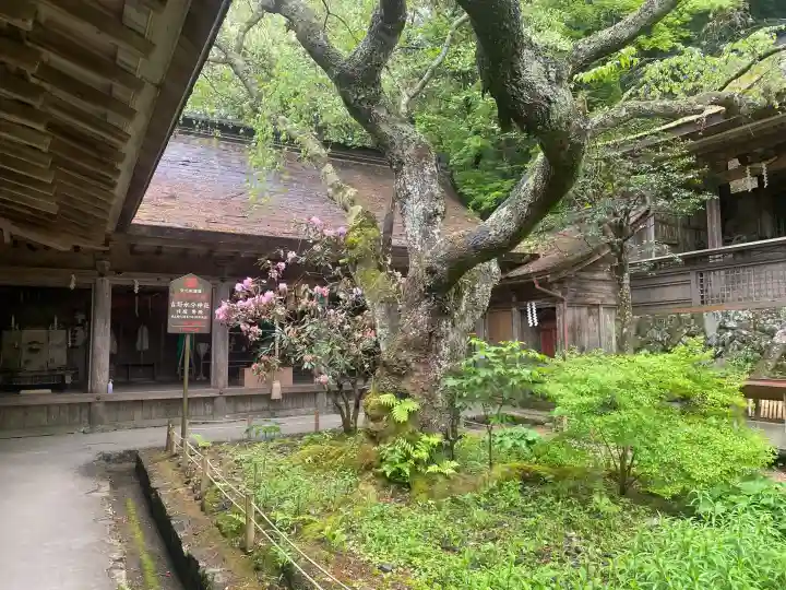 吉野水分神社(吉野町)の{uncategorized: "未分類", other: "その他", undefined: "問題あり", building: "その他建物", grave: "お墓", sacred_gate: "鳥居", guardian: "狛犬", statue: "像", buddha: "仏像", history: "歴史", nature: "自然", garden: "庭園", animal: "動物", pagoda: "塔", temizu: "手水舎", mountain_gate: "山門・神門", sanctuary: "本殿・本堂", subordinate: "末社・摂社", art: "芸術", scenery: "景色", jizo: "地蔵", ema: "絵馬", goshuin: "御朱印", omikuji: "おみくじ", items: "授与品その他", amulet: "お守り", goshuincho: "御朱印帳", eats: "食事", festival: "お祭り", votive_dance: "神楽", shichigosan: "七五三参", wedding: "結婚式", experience: "体験その他", initially: "初詣", around: "周辺", anti_infection: "感染症対策"}