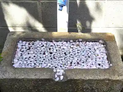稲荷神社(兵庫県)
