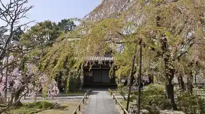 上品蓮台寺のその他建物