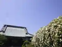 九品寺の本殿・本堂