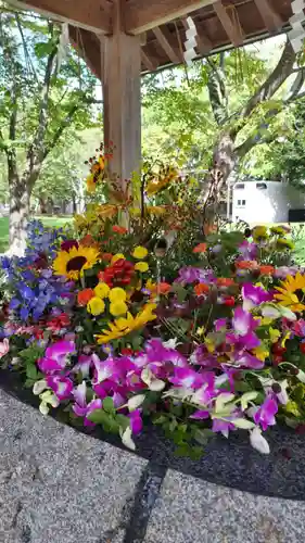 当別神社の手水舎