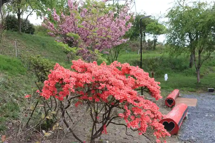 阿久津「田村神社」(郡山市阿久津町)旧社名:伊豆箱根三嶋三社の庭園