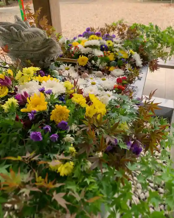 滑川神社 - 仕事と子どもの守り神の手水舎