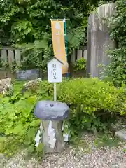 毛谷黒龍神社(福井県)