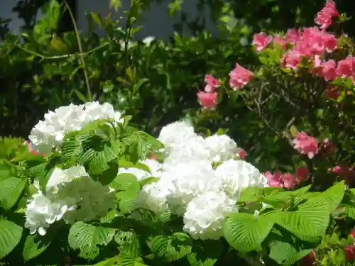 浄光明寺の自然