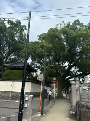 光永寺(長崎県)