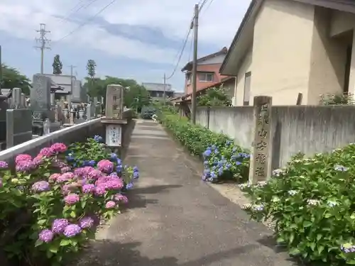 安穏寺の山門