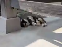 西泉寺(福島県)