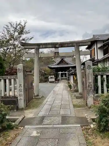 吒枳尼天（法伝寺）(京都府)
