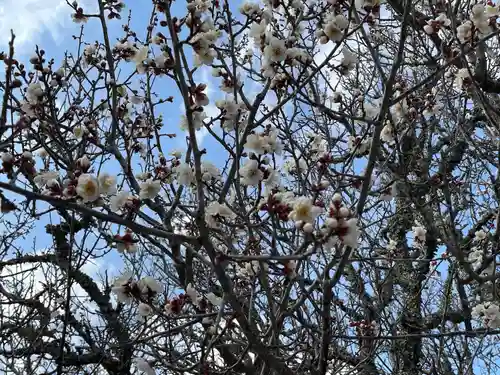 綱敷天満宮の自然