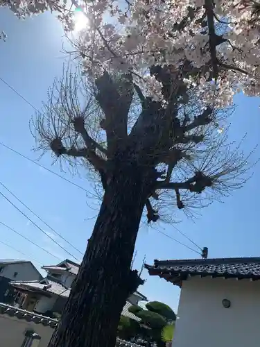 徳証寺の景色