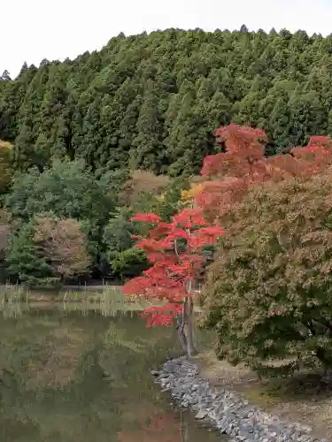 白水阿弥陀堂(福島県)