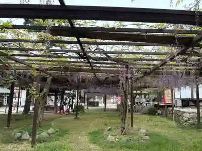 葛井寺の{uncategorized: "未分類", other: "その他", undefined: "問題あり", building: "その他建物", grave: "お墓", sacred_gate: "鳥居", guardian: "狛犬", statue: "像", buddha: "仏像", history: "歴史", nature: "自然", garden: "庭園", animal: "動物", pagoda: "塔", temizu: "手水舎", mountain_gate: "山門・神門", sanctuary: "本殿・本堂", subordinate: "末社・摂社", art: "芸術", scenery: "景色", jizo: "地蔵", ema: "絵馬", goshuin: "御朱印", omikuji: "おみくじ", items: "授与品その他", amulet: "お守り", goshuincho: "御朱印帳", eats: "食事", festival: "お祭り", votive_dance: "神楽", shichigosan: "七五三参", wedding: "結婚式", experience: "体験その他", initially: "初詣", around: "周辺", anti_infection: "感染症対策"}