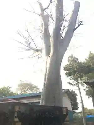 八幡神社のその他建物