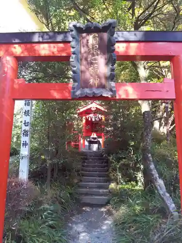 箱根神社(神奈川県)