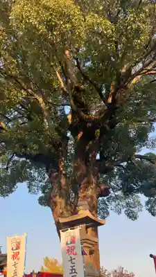 西大寺(岡山県)