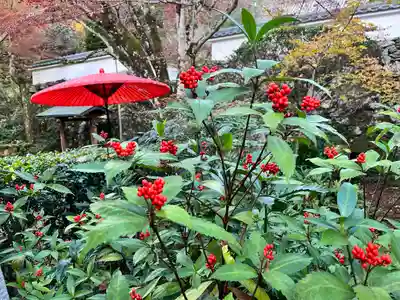 神藏寺(京都府)