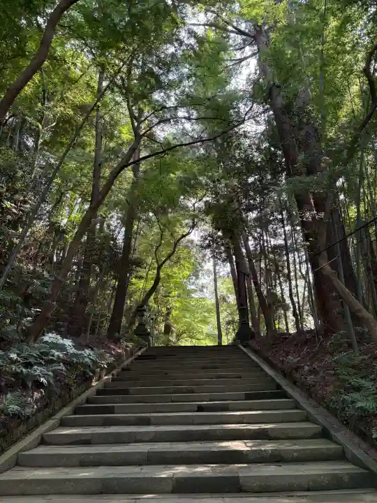 観福寺の{uncategorized: "未分類", other: "その他", undefined: "問題あり", building: "その他建物", grave: "お墓", sacred_gate: "鳥居", guardian: "狛犬", statue: "像", buddha: "仏像", history: "歴史", nature: "自然", garden: "庭園", animal: "動物", pagoda: "塔", temizu: "手水舎", mountain_gate: "山門・神門", sanctuary: "本殿・本堂", subordinate: "末社・摂社", art: "芸術", scenery: "景色", jizo: "地蔵", ema: "絵馬", goshuin: "御朱印", omikuji: "おみくじ", items: "授与品その他", amulet: "お守り", goshuincho: "御朱印帳", eats: "食事", festival: "お祭り", votive_dance: "神楽", shichigosan: "七五三参", wedding: "結婚式", experience: "体験その他", initially: "初詣", around: "周辺", anti_infection: "感染症対策"}