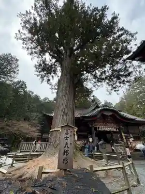 北口本宮冨士浅間神社の自然