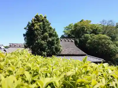 慈光院(奈良県)