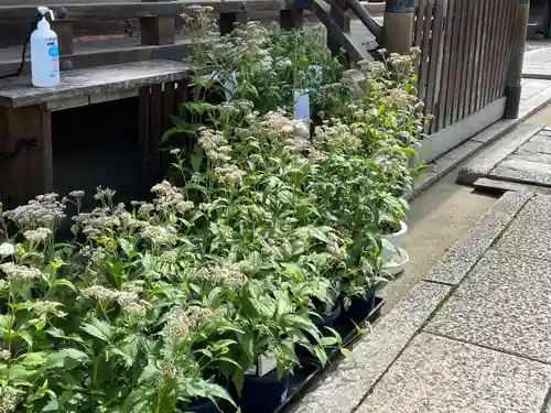 下御霊神社(京都府)