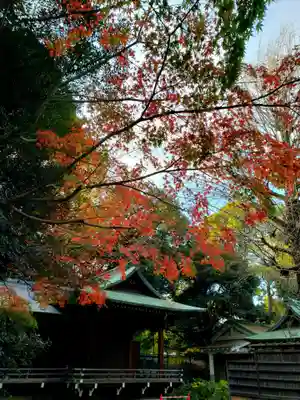渋谷氷川神社(東京都)