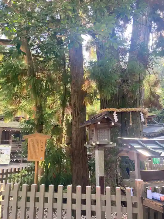 大神神社(奈良県)