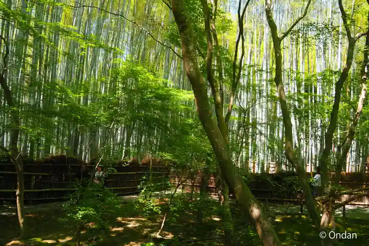 祇王寺(京都府)