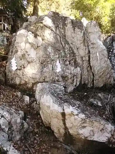 鹿島大神宮の自然