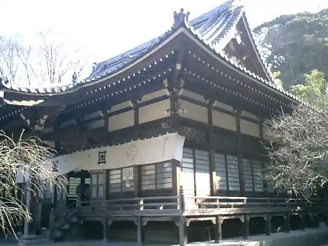 安國論寺(安国論寺)の本殿・本堂