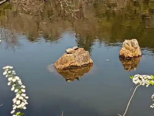 龍安寺(京都府)