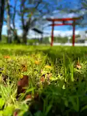 子檀嶺神社(長野県)