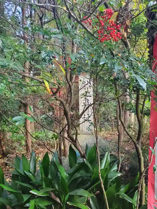 胎安神社の自然