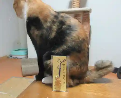 題経寺（柴又帝釈天）(東京都)