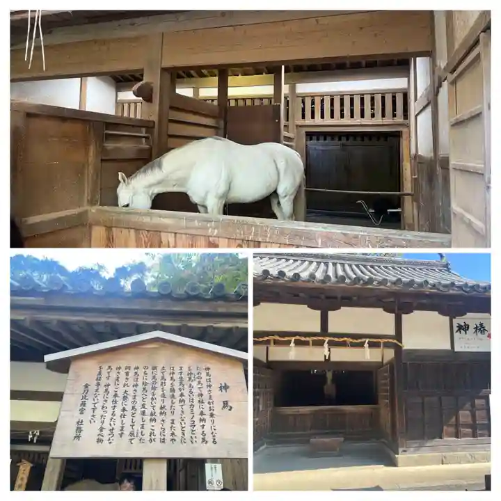 金刀比羅宮(香川県)