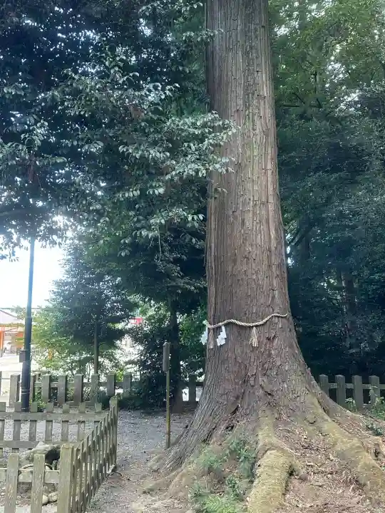劒神社(福井県)