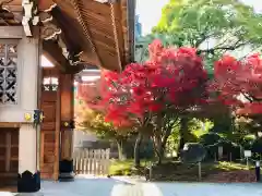 普元寺の自然