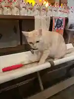 王子神社の動物