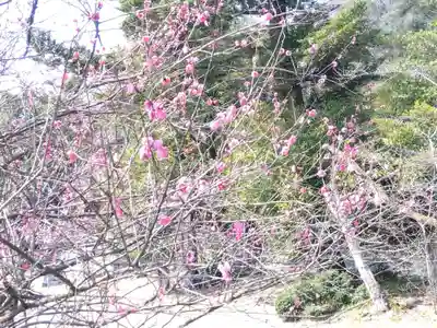 藤島神社(贈正一位新田義貞公之大宮)(福井県)