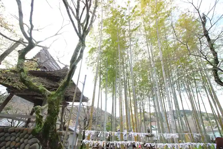 修禅寺(静岡県)