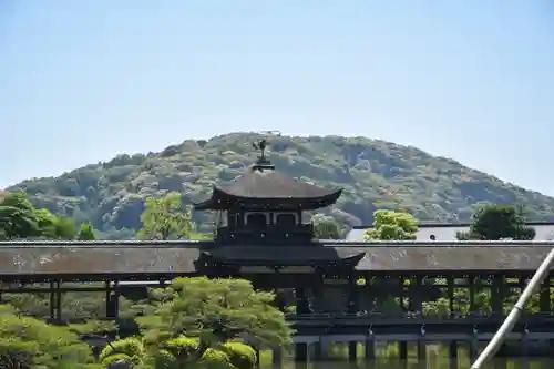 平安神宮の庭園